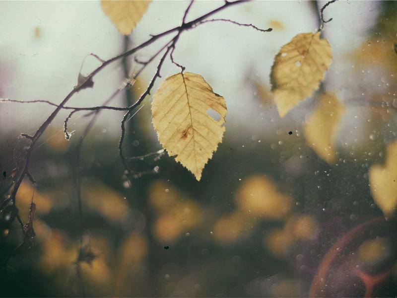 脚本方舟<br>Python 脚本托管与定时运行